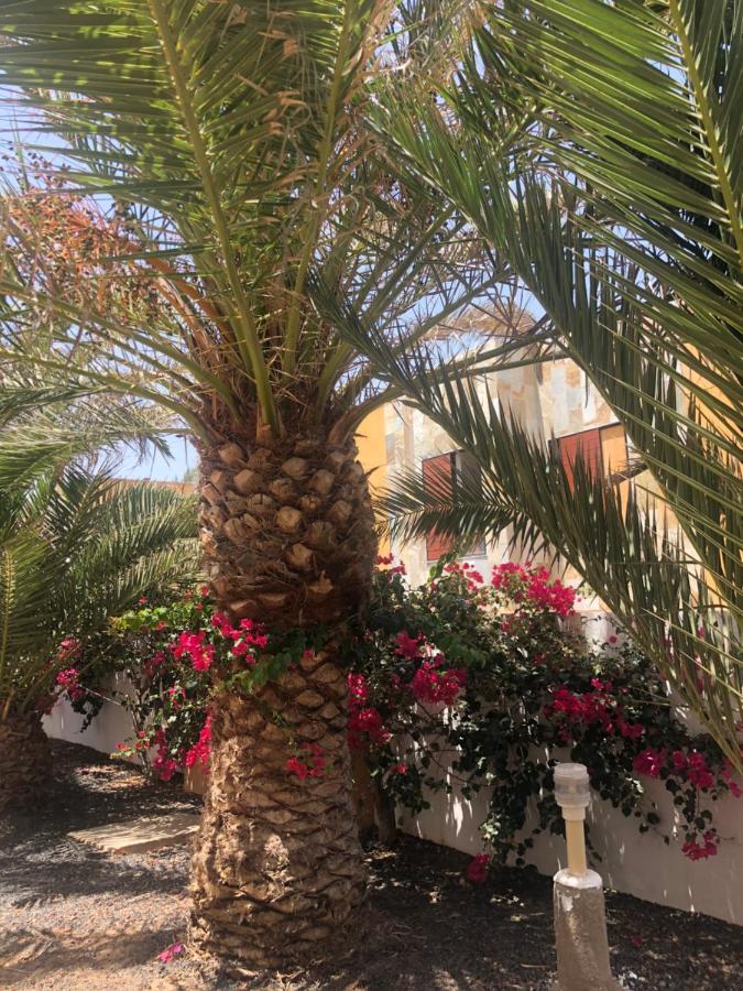 Apartamento Le Soleil De Fuerteventura Costa De Antigua Kültér fotó